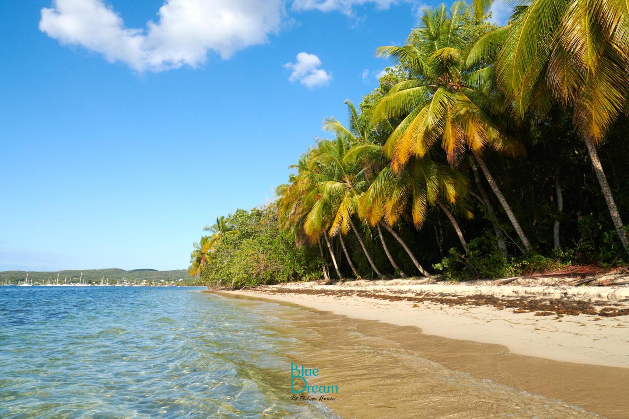 Kawan Nid - Tout Confort, Plage A 2 Min A Pied, Piscine, Wifi, Climatisation Grand-Bourg  Экстерьер фото